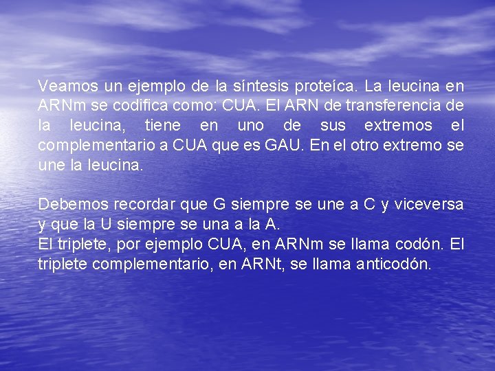 Veamos un ejemplo de la síntesis proteíca. La leucina en ARNm se codifica como: