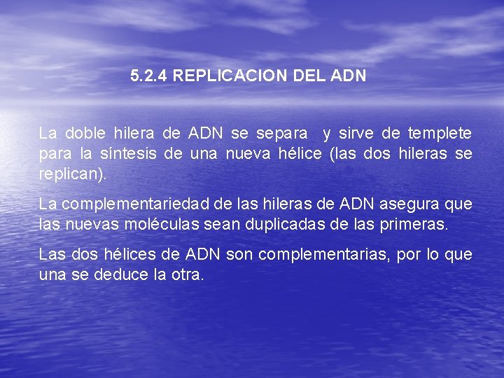 5. 2. 4 REPLICACION DEL ADN La doble hilera de ADN se separa y