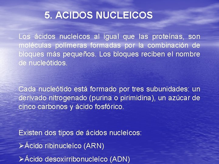 5. ACIDOS NUCLEICOS Los ácidos nucleícos al igual que las proteínas, son moléculas polímeras