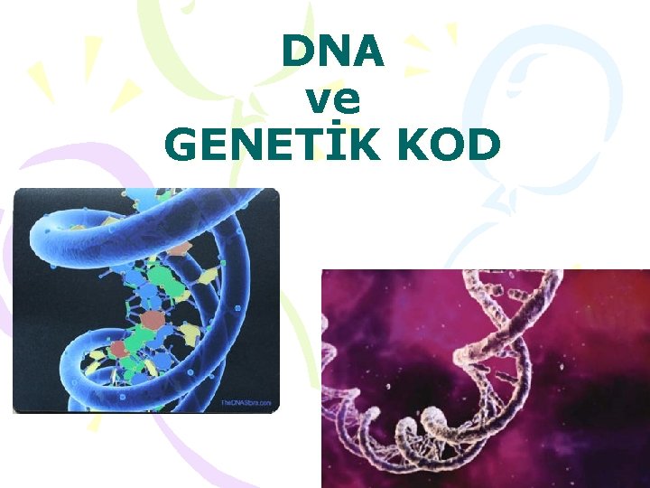 DNA ve GENETİK KOD 