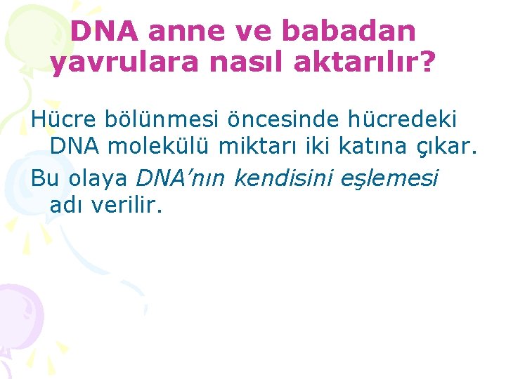 DNA anne ve babadan yavrulara nasıl aktarılır? Hücre bölünmesi öncesinde hücredeki DNA molekülü miktarı