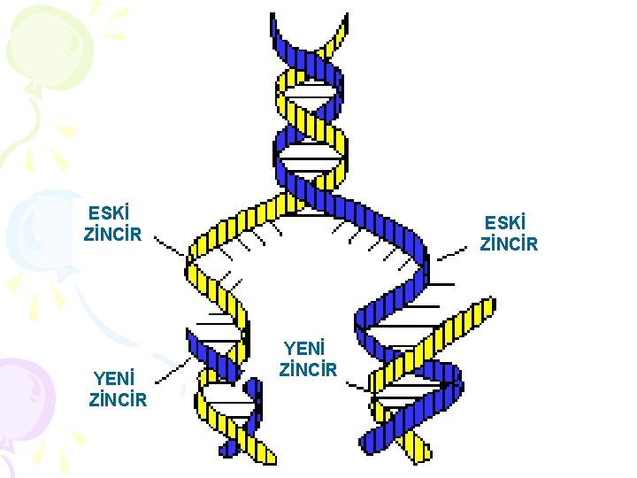 ESKİ ZİNCİR YENİ ZİNCİR 