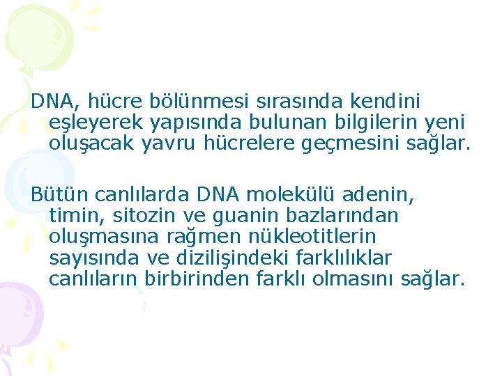 DNA, hücre bölünmesi sırasında kendini eşleyerek yapısında bulunan bilgilerin yeni oluşacak yavru hücrelere geçmesini