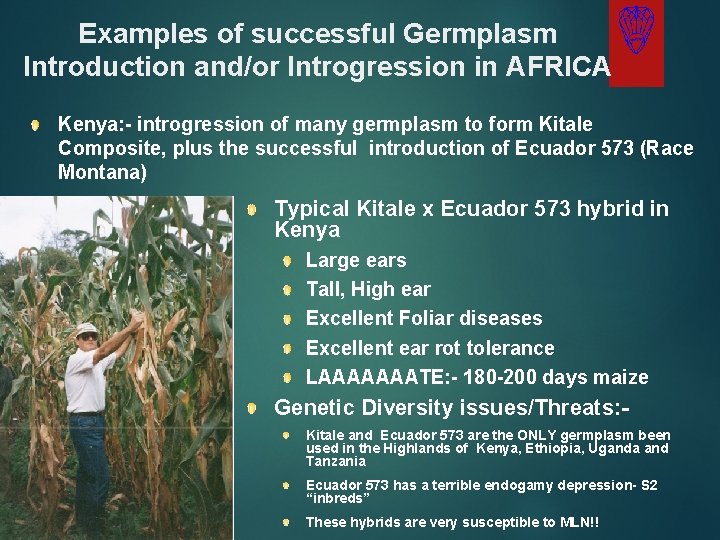 Examples of successful Germplasm Introduction and/or Introgression in AFRICA Kenya: - introgression of many