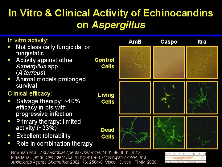 In Vitro & Clinical Activity of Echinocandins on Aspergillus In vitro activity: • Not