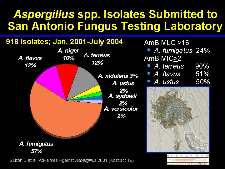 Aspergillus spp. Isolates Submitted to San Antonio Fungus Testing Laboratory 918 Isolates; Jan. 2001