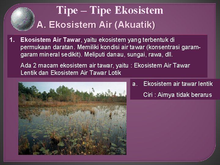 Tipe – Tipe Ekosistem Air (Akuatik) 1. Ekosistem Air Tawar, yaitu ekosistem yang terbentuk