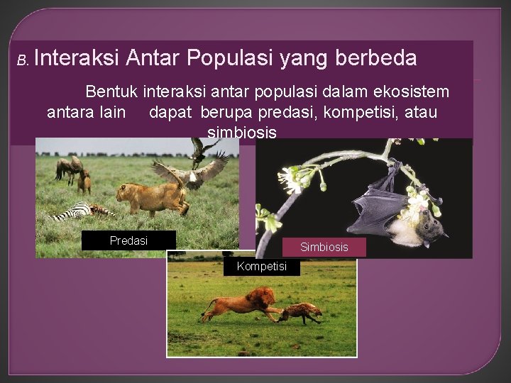 B. Interaksi Antar Populasi yang berbeda Bentuk interaksi antar populasi dalam ekosistem antara lain