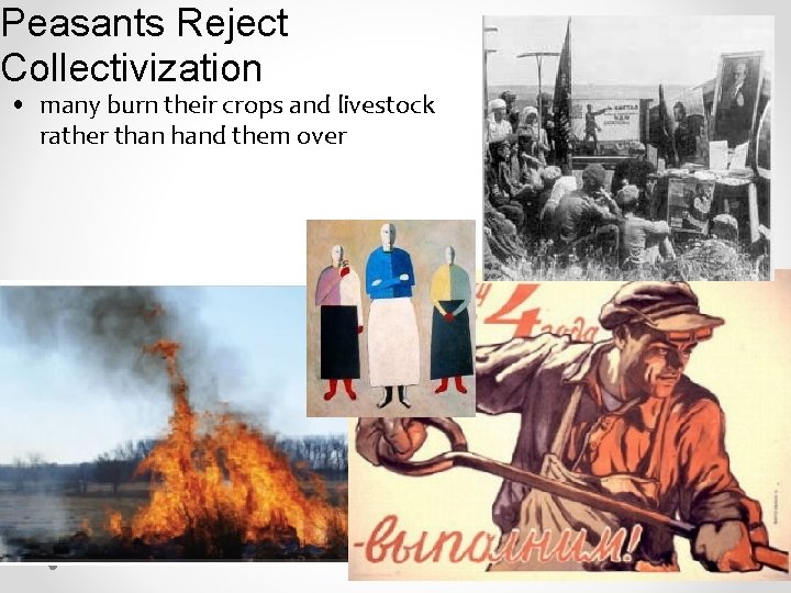 Peasants Reject Collectivization • many burn their crops and livestock rather than hand them Peasants Reject Collectivization • many burn their crops and livestock rather than hand them