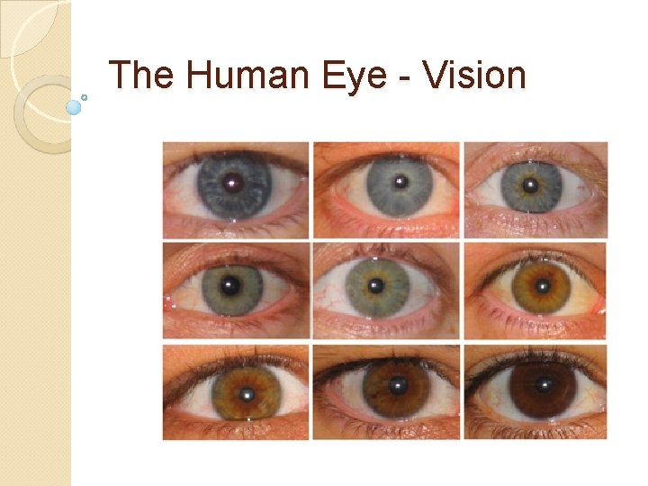 The Human Eye - Vision 
