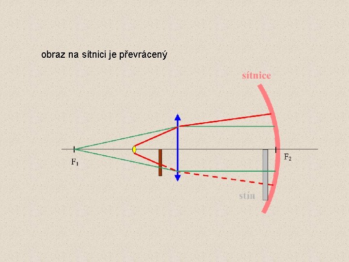 obraz na sítnici je převrácený 