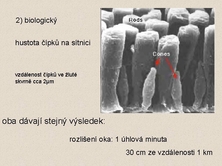 2) biologický hustota čípků na sítnici vzdálenost čípků ve žluté skvrně cca 2μm oba