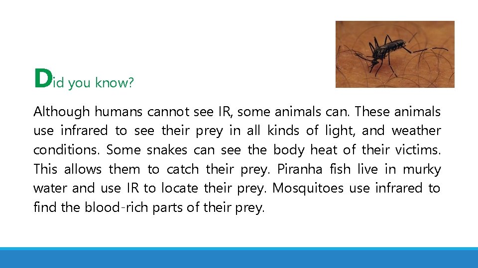 Did you know? Although humans cannot see IR, some animals can. These animals use