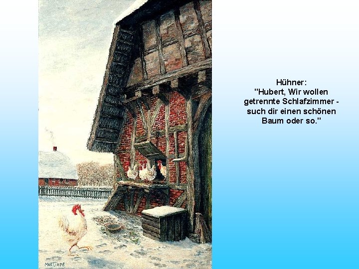 Hühner: "Hubert, Wir wollen getrennte Schlafzimmer - such dir einen schönen Baum oder so.
