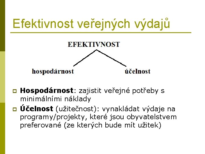 Efektivnost veřejných výdajů p p Hospodárnost: zajistit veřejné potřeby s minimálními náklady Účelnost (užitečnost):