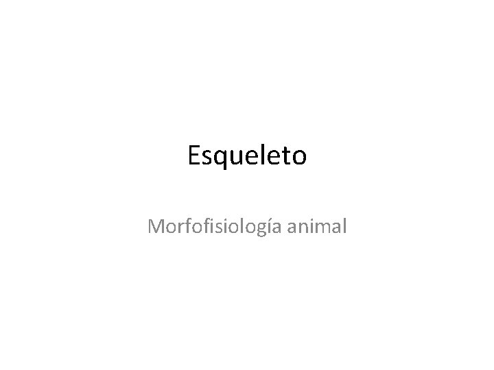 Esqueleto Morfofisiología animal 