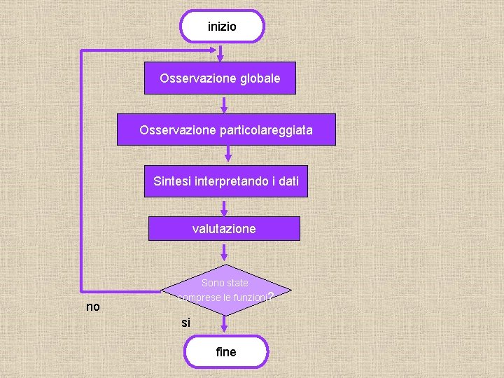 inizio Osservazione globale Osservazione particolareggiata Sintesi interpretando i dati valutazione no Sono state comprese