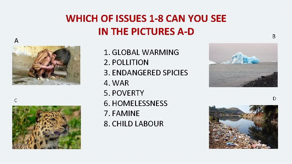 A C WHICH OF ISSUES 1 -8 CAN YOU SEE IN THE PICTURES A-D A C WHICH OF ISSUES 1 -8 CAN YOU SEE IN THE PICTURES A-D