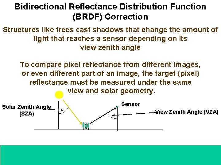 Bidirectional Reflectance Distribution Function (BRDF) Correction Structures like trees cast shadows that change the