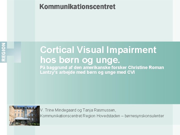 Cortical Visual Impairment hos børn og unge. På baggrund af den amerikanske forsker Christine