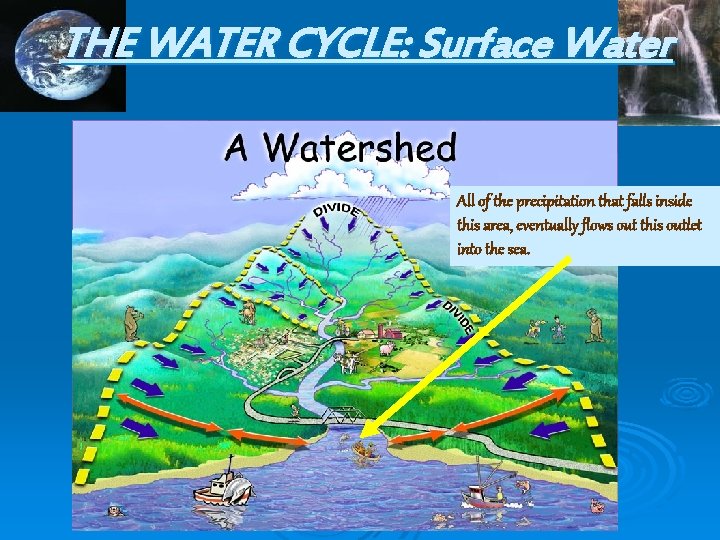 THE WATER CYCLE: Surface Water All of the precipitation that falls inside this area,