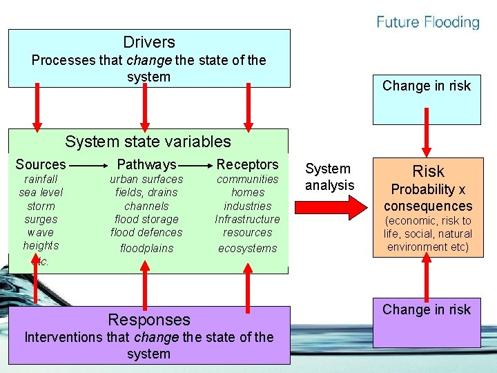 Drivers Processes that change the state of the system Change in risk System state