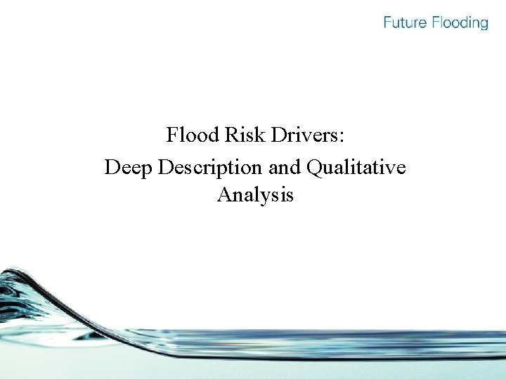 Flood Risk Drivers: Deep Description and Qualitative Analysis 