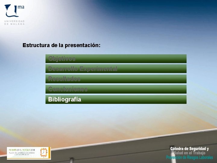 Estructura de la presentación: Objetivos Desarrollo Experimental Resultados Conclusiones Bibliografía 