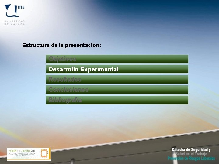 Estructura de la presentación: Objetivos Desarrollo Experimental Resultados Conclusiones Bibliografía 