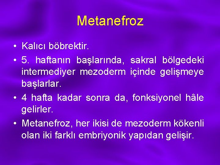 Metanefroz • Kalıcı böbrektir. • 5. haftanın başlarında, sakral bölgedeki intermediyer mezoderm içinde gelişmeye