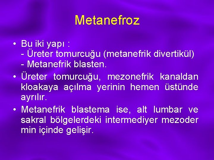 Metanefroz • Bu iki yapı : - Üreter tomurcuğu (metanefrik divertikül) - Metanefrik blasten.