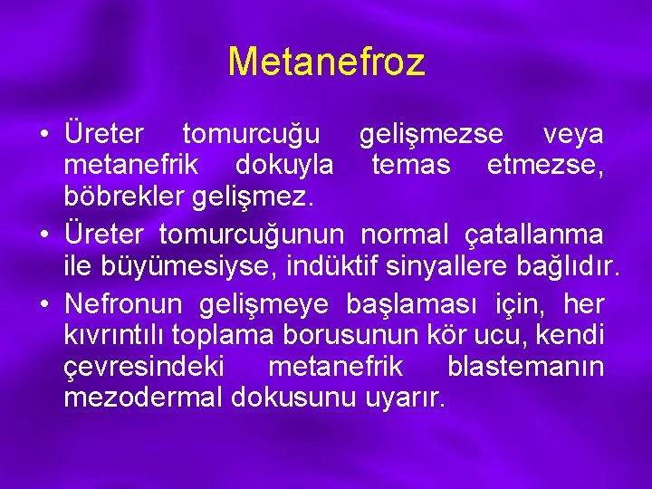 Metanefroz • Üreter tomurcuğu gelişmezse veya metanefrik dokuyla temas etmezse, böbrekler gelişmez. • Üreter