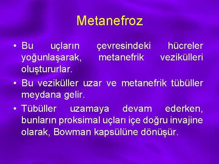 Metanefroz • Bu uçların çevresindeki hücreler yoğunlaşarak, metanefrik vezikülleri oluştururlar. • Bu veziküller uzar