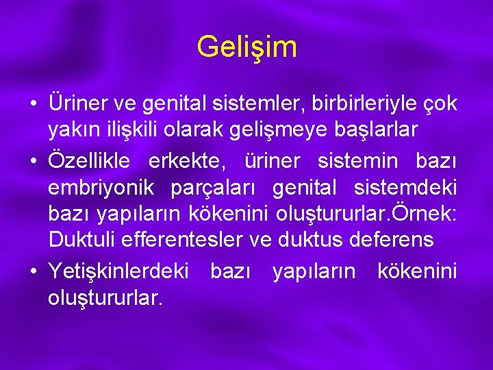 Gelişim • Üriner ve genital sistemler, birbirleriyle çok yakın ilişkili olarak gelişmeye başlarlar •