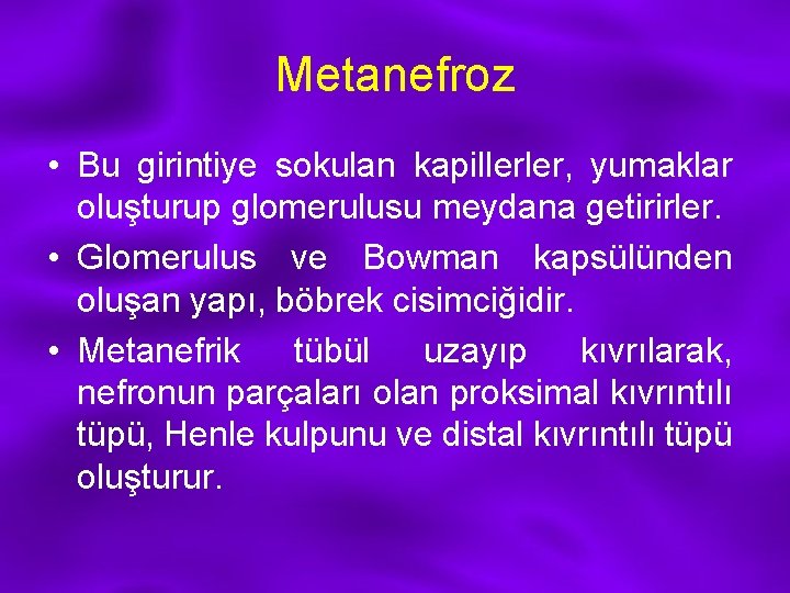 Metanefroz • Bu girintiye sokulan kapillerler, yumaklar oluşturup glomerulusu meydana getirirler. • Glomerulus ve