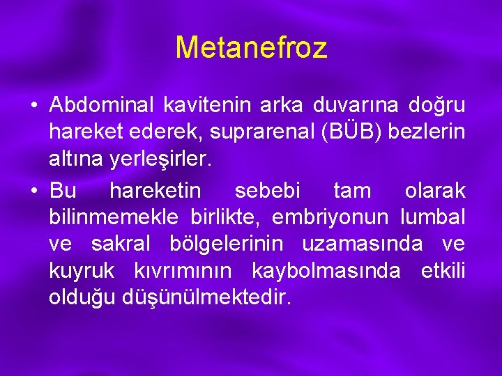 Metanefroz • Abdominal kavitenin arka duvarına doğru hareket ederek, suprarenal (BÜB) bezlerin altına yerleşirler.