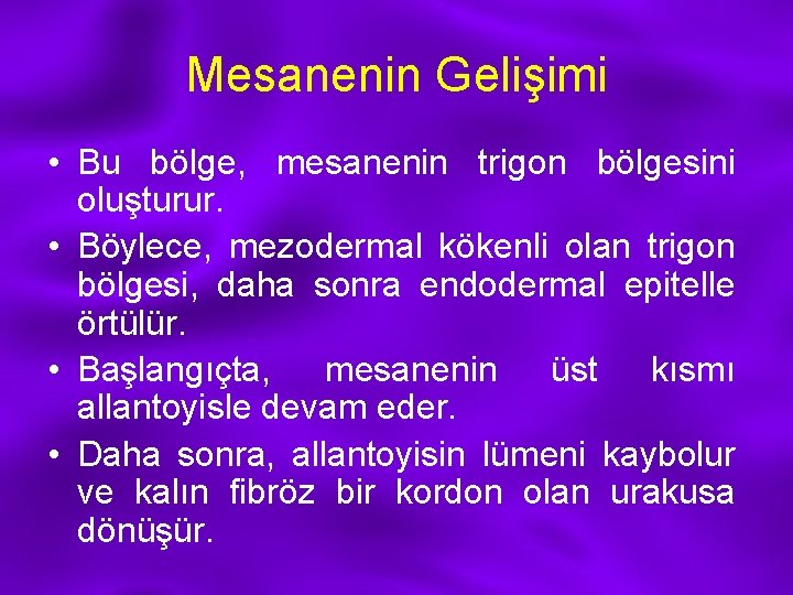 Mesanenin Gelişimi • Bu bölge, mesanenin trigon bölgesini oluşturur. • Böylece, mezodermal kökenli olan