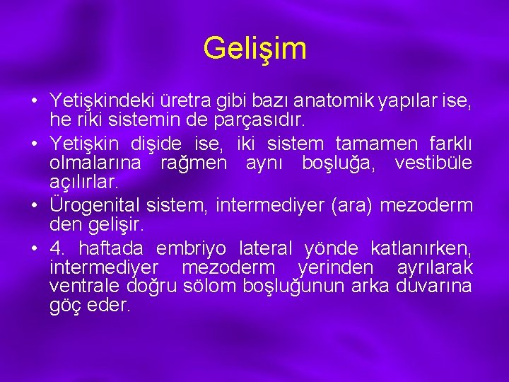 Gelişim • Yetişkindeki üretra gibi bazı anatomik yapılar ise, he riki sistemin de parçasıdır.