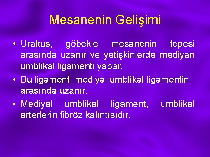 Mesanenin Gelişimi • Urakus, göbekle mesanenin tepesi arasında uzanır ve yetişkinlerde mediyan umblikal ligamenti