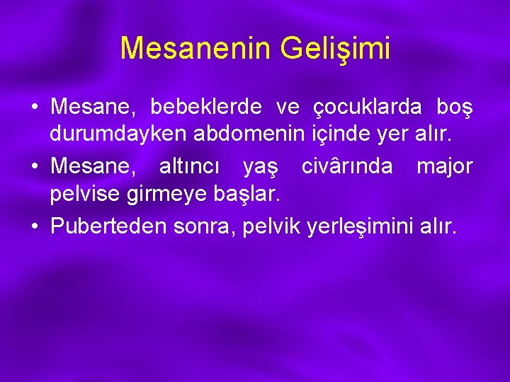 Mesanenin Gelişimi • Mesane, bebeklerde ve çocuklarda boş durumdayken abdomenin içinde yer alır. •