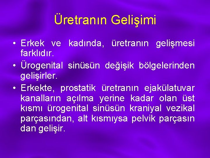 Üretranın Gelişimi • Erkek ve kadında, üretranın gelişmesi farklıdır. • Ürogenital sinüsün değişik bölgelerinden