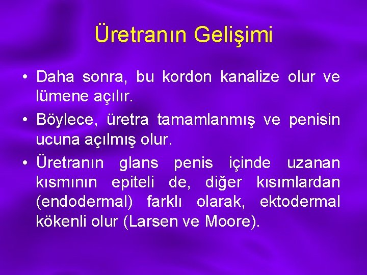 Üretranın Gelişimi • Daha sonra, bu kordon kanalize olur ve lümene açılır. • Böylece,