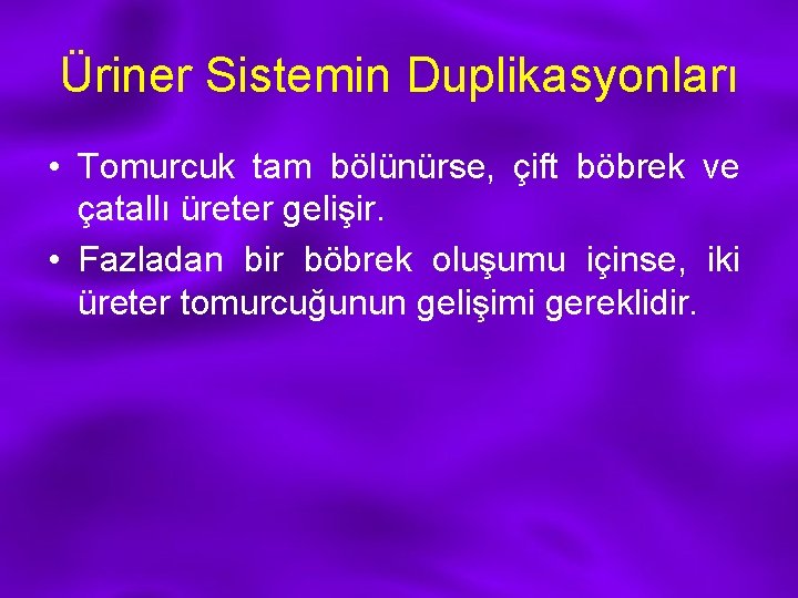 Üriner Sistemin Duplikasyonları • Tomurcuk tam bölünürse, çift böbrek ve çatallı üreter gelişir. •