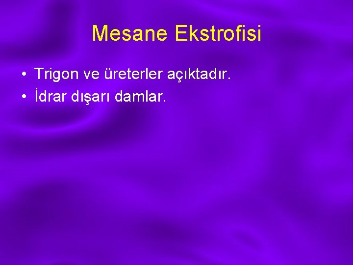 Mesane Ekstrofisi • Trigon ve üreterler açıktadır. • İdrar dışarı damlar. 