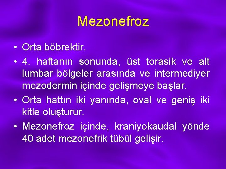 Mezonefroz • Orta böbrektir. • 4. haftanın sonunda, üst torasik ve alt lumbar bölgeler