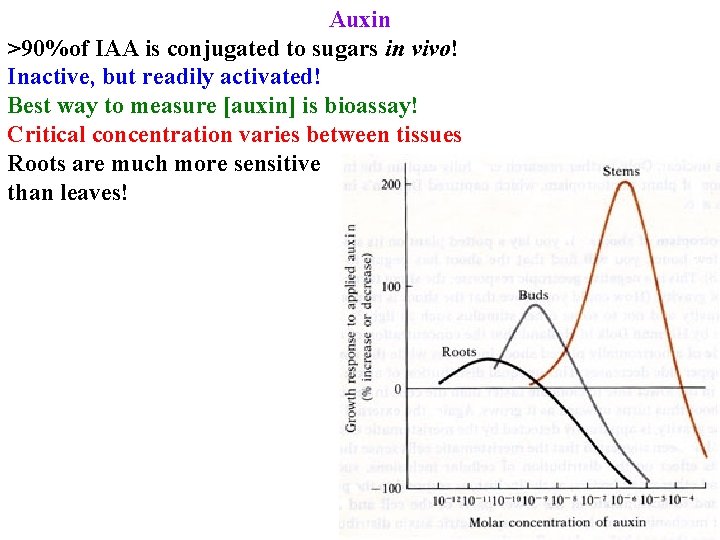 Auxin >90%of IAA is conjugated to sugars in vivo! Inactive, but readily activated! Best