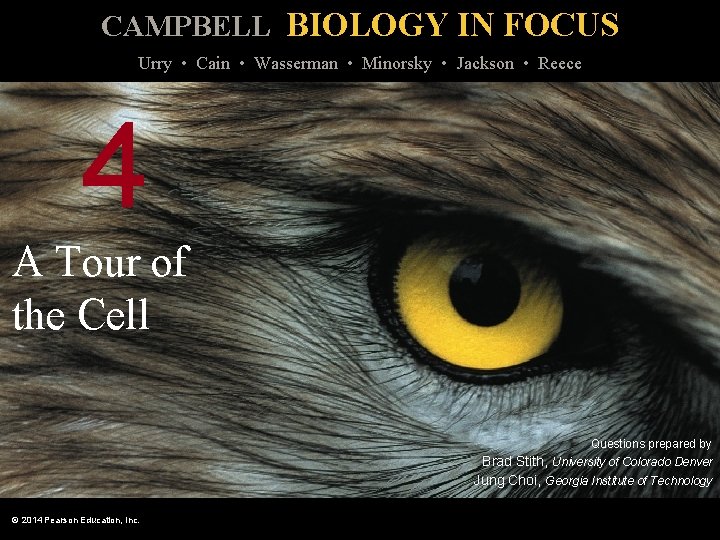 CAMPBELL BIOLOGY IN FOCUS Urry • Cain • Wasserman • Minorsky • Jackson •