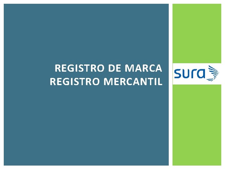 REGISTRO DE MARCA REGISTRO MERCANTIL 