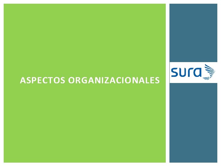 ASPECTOS ORGANIZACIONALES 