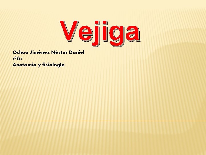 Vejiga Ochoa Jiménez Néstor Daniel 5ªA 2 Anatomía y fisiología 